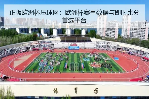正版欧洲杯压球网：欧洲杯赛事数据与即时比分首选平台