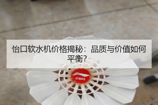 怡口软水机价格揭秘：品质与价值如何平衡？